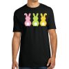 Unisex Premium Cotton T-Shirt Thumbnail