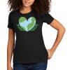 Women's Premium Cotton T-Shirt Thumbnail